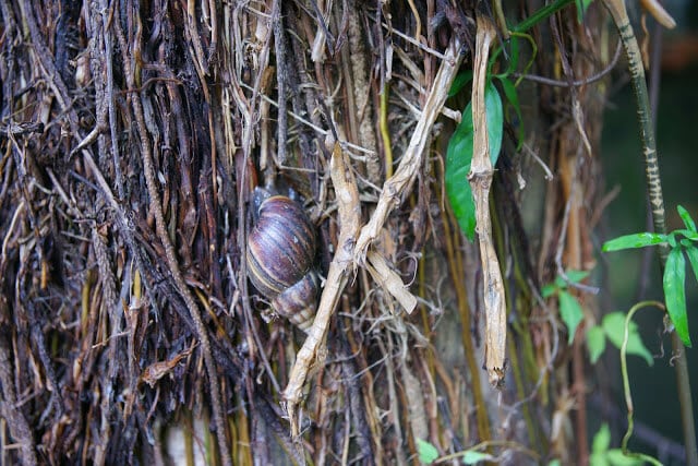 導覽5-2：青田七六的誕生