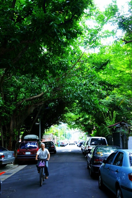 青田七六-青田街道