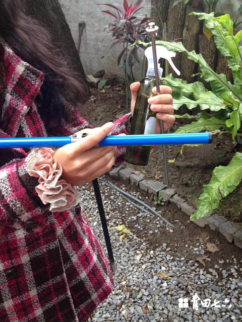 青田七六-鑽樹心-1