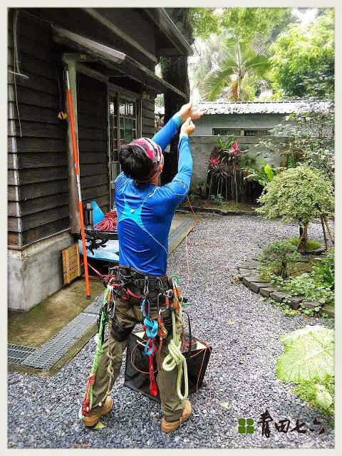 青田七六-鑽樹心-4