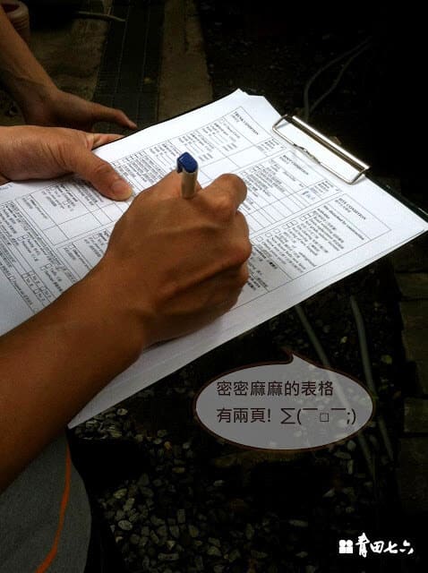 青田七六-樹木健診-楓香測量紀錄