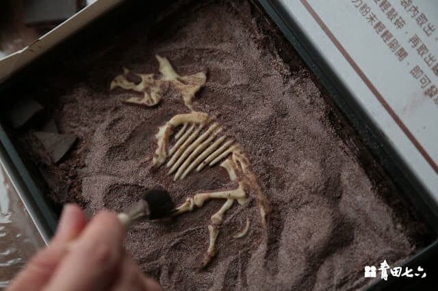 青田七六-恐龍化石巧克力2