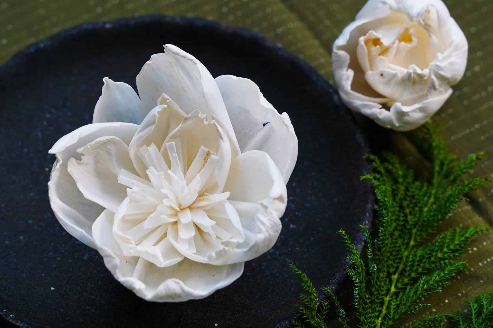 七六聚樂部 索拉花草手作體驗 青田七六